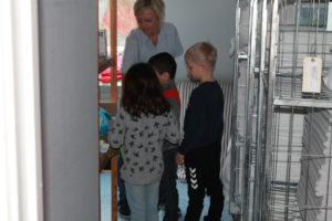Severin Kursuscenter Middelfart Vestre Skole RelationsNetværket Virksomheder adopterer skoleklasser Den Åbne skole